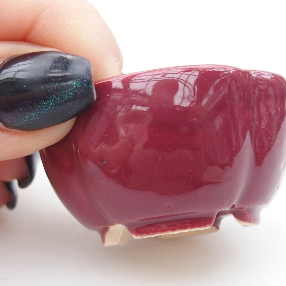 Ciotola per mini bonsai 4 x 4 x 2 cm, bordeaux