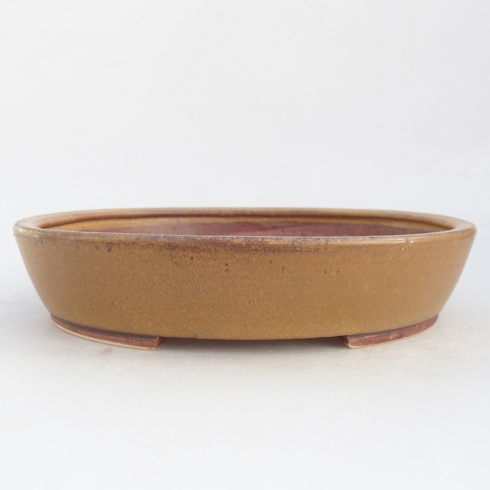 Ciotola bonsai in ceramica 21 x 19 x 4,5 cm, marrone