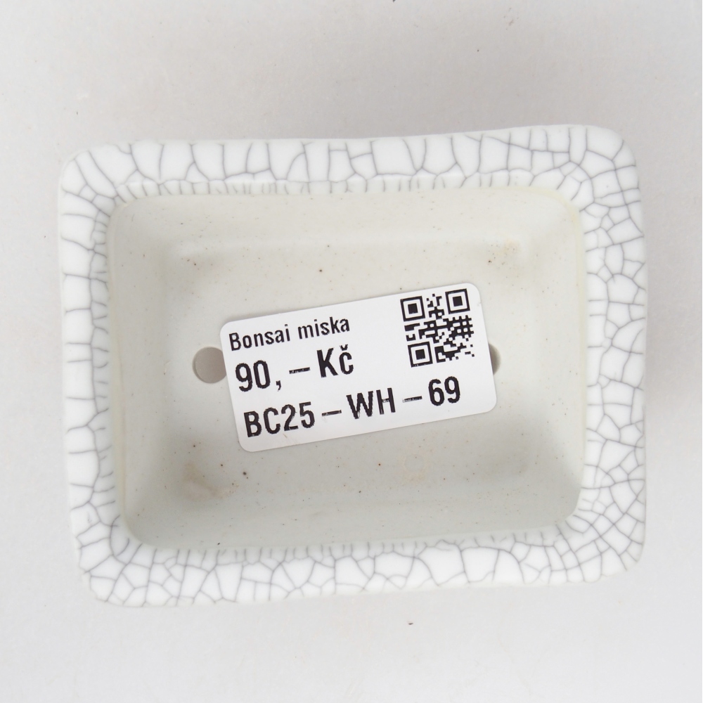 Ciotola per mini bonsai 8 x 6,5 x 3,5 cm, colore raku