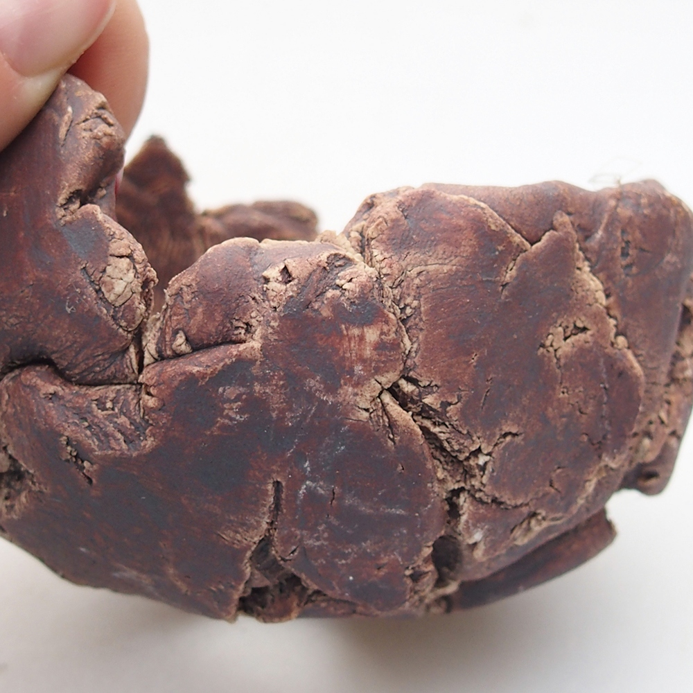 Conchiglia in ceramica 9 x 8,5 x 6 cm , colore marrone