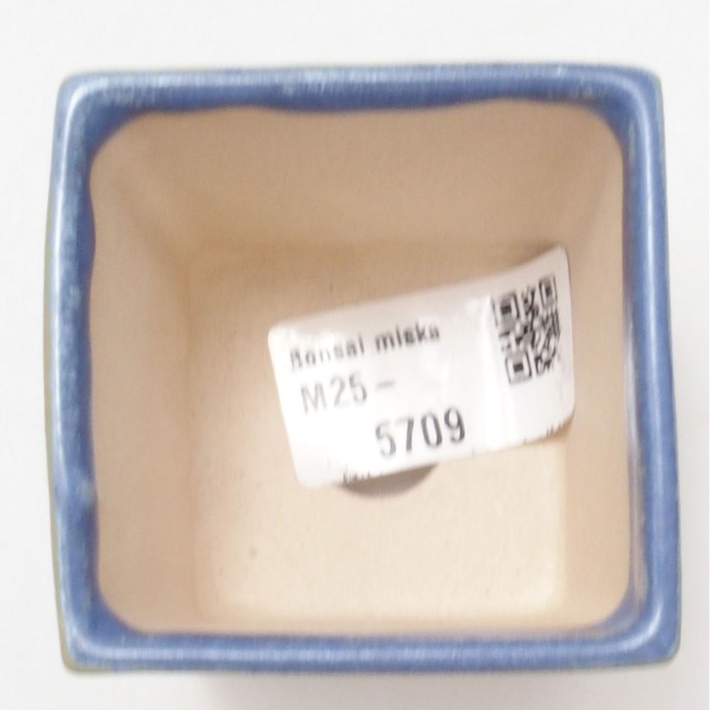 Mini bonsai 5,5 x 5,5 x 6,5 cm, colore blu