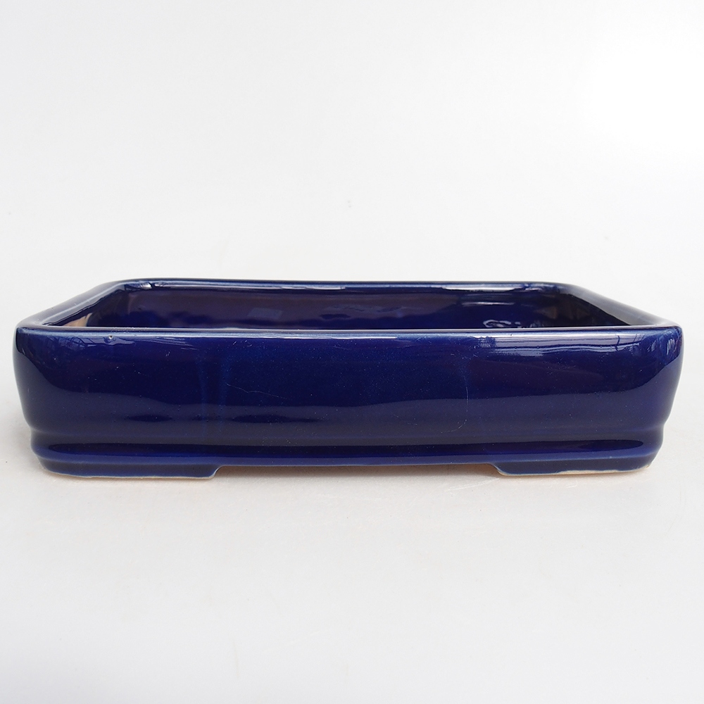 Ciotola bonsai in ceramica 18 x 13 x 4 cm, colore blu