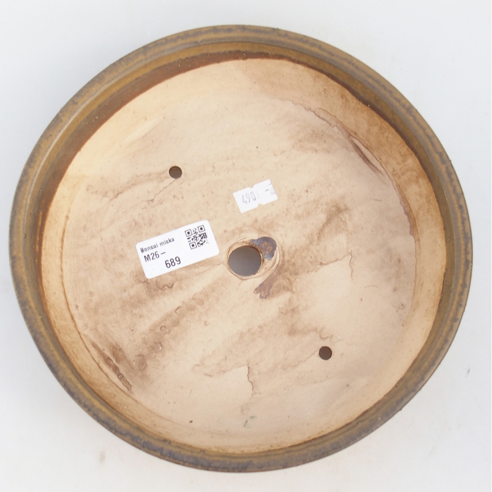 Ciotola per bonsai in ceramica 21,5 x 21,5 x 6 cm, marrone