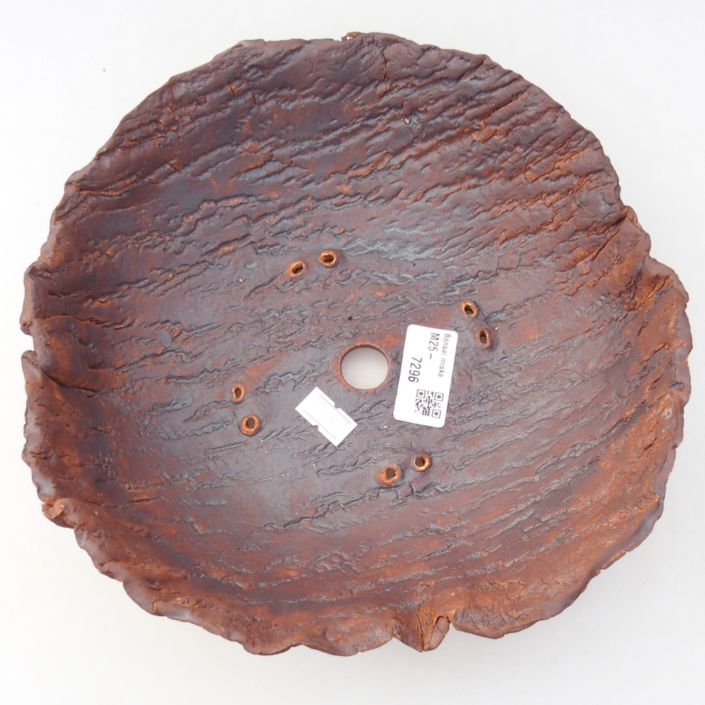 Conchiglia in ceramica 23 x 23 x 7 cm , colore marrone