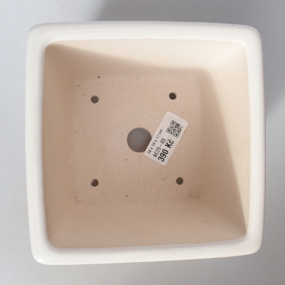 Ciotola bonsai in ceramica 14 x 14 x 11 cm, colore bianco