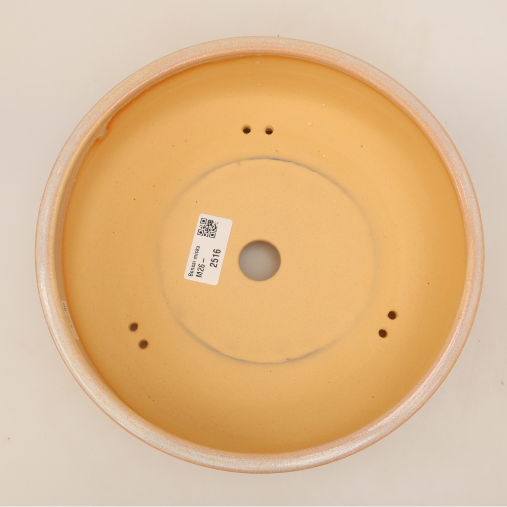 Vaso da bonsai in ceramica 23 x 23 x 6 cm, colore beige