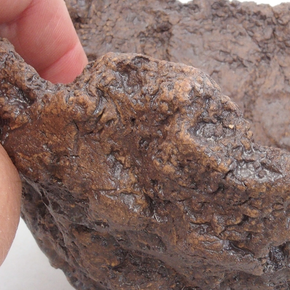 Conchiglia in ceramica 13 x 10,5 x 12,5 cm , colore marrone