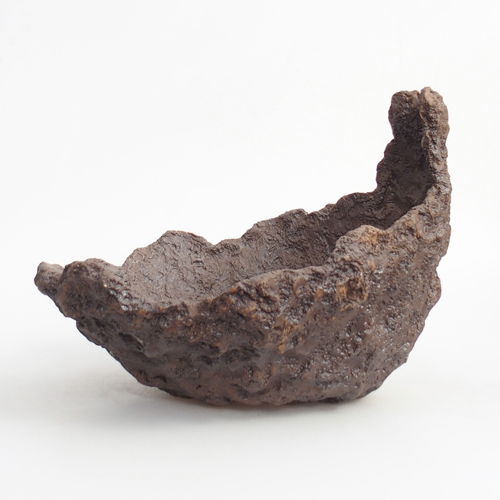 Conchiglia in ceramica 25 x 21 x 21 cm , colore marrone