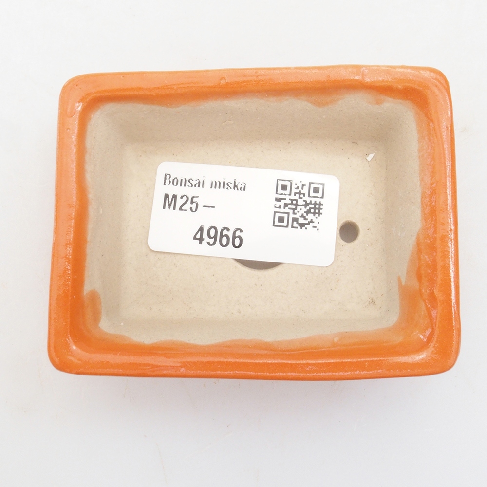 Ciotola per mini bonsai 7,5 x 6 x 2,5 cm, arancione