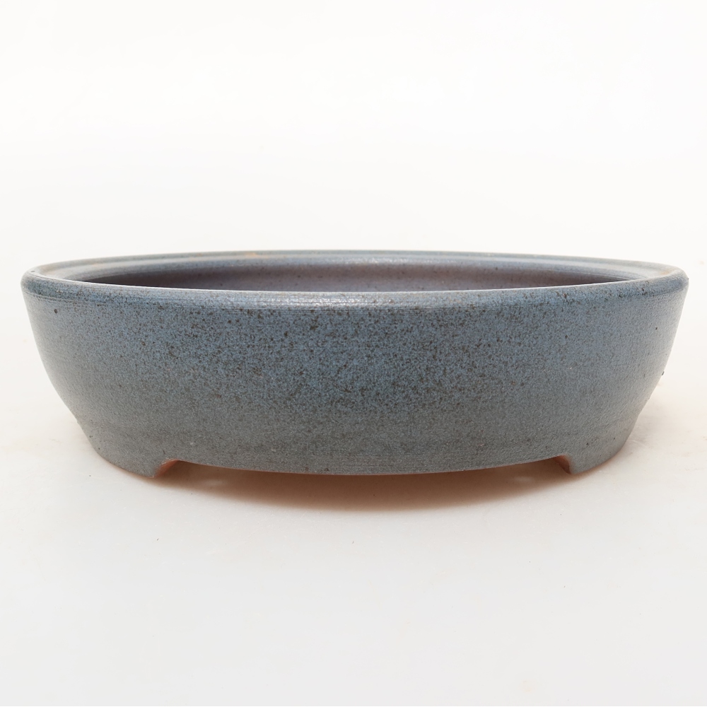 Guscio in ceramica  19,5 x 19,5 x 5 cm, colore blu