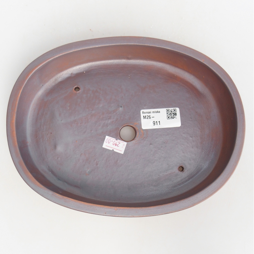 Ciotola bonsai in ceramica 22 x 17 x 4 cm, colore metallo