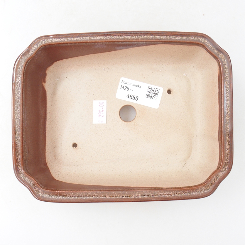 Ciotola per bonsai in ceramica 18 x 13,5 x 5 cm, marrone