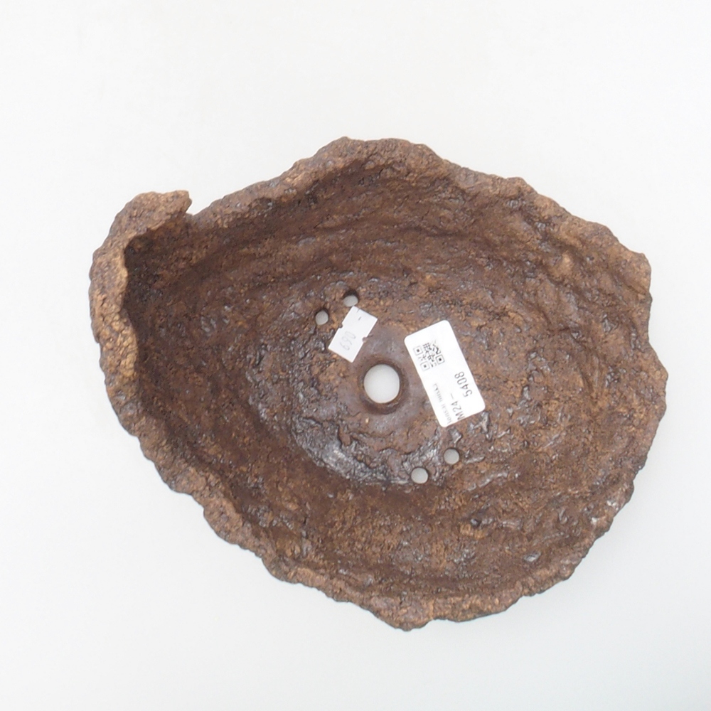 Conchiglia in ceramica 16 x 16 x 16 cm , colore marrone