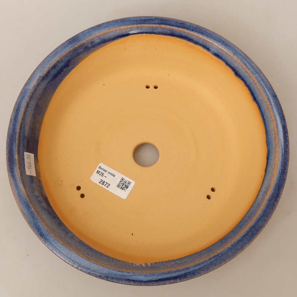 Vaso da bonsai in ceramica 25 x 25 x 6 cm, colore blu