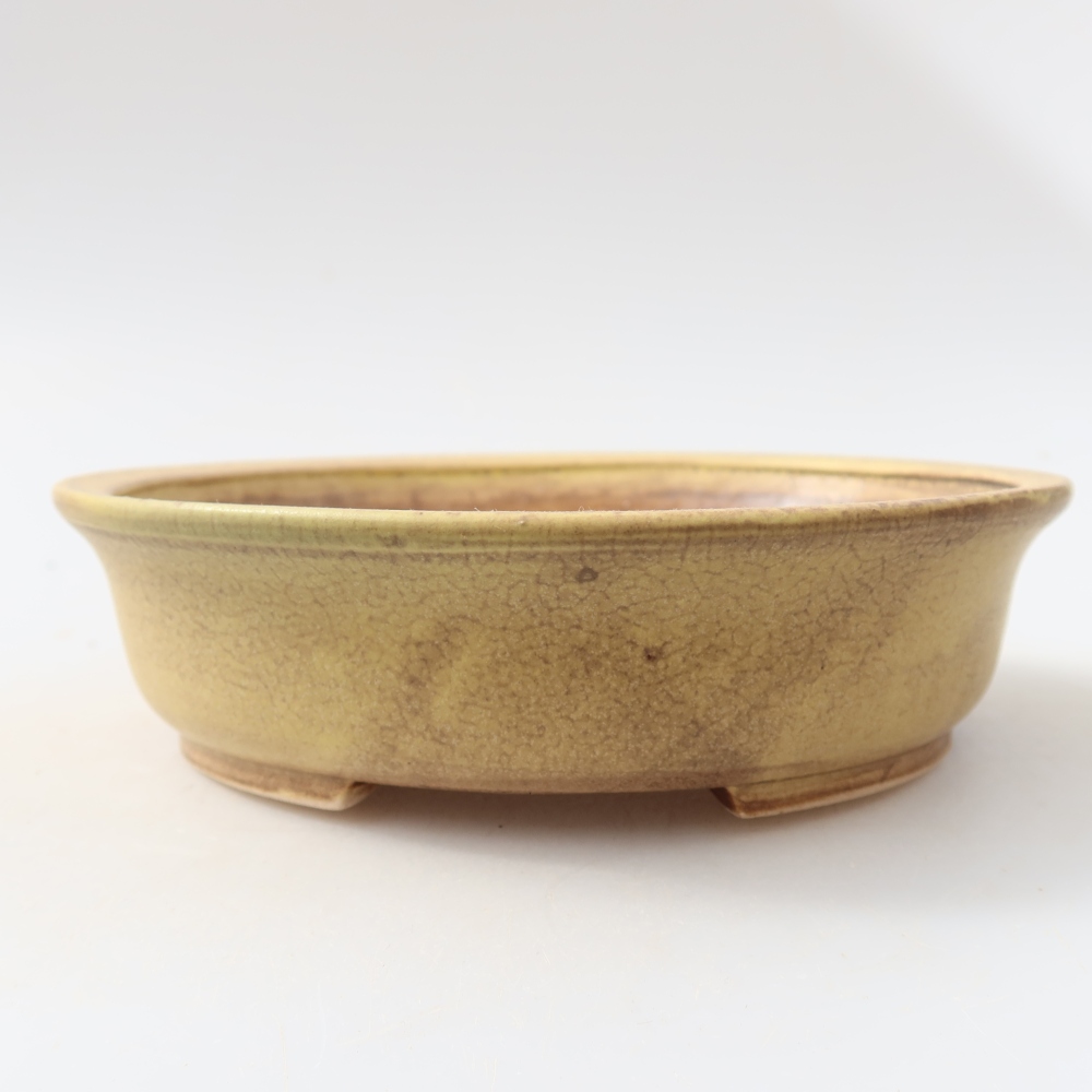 Vaso da bonsai in ceramica 15,5 x 14,5 x 4 cm, colore giallo