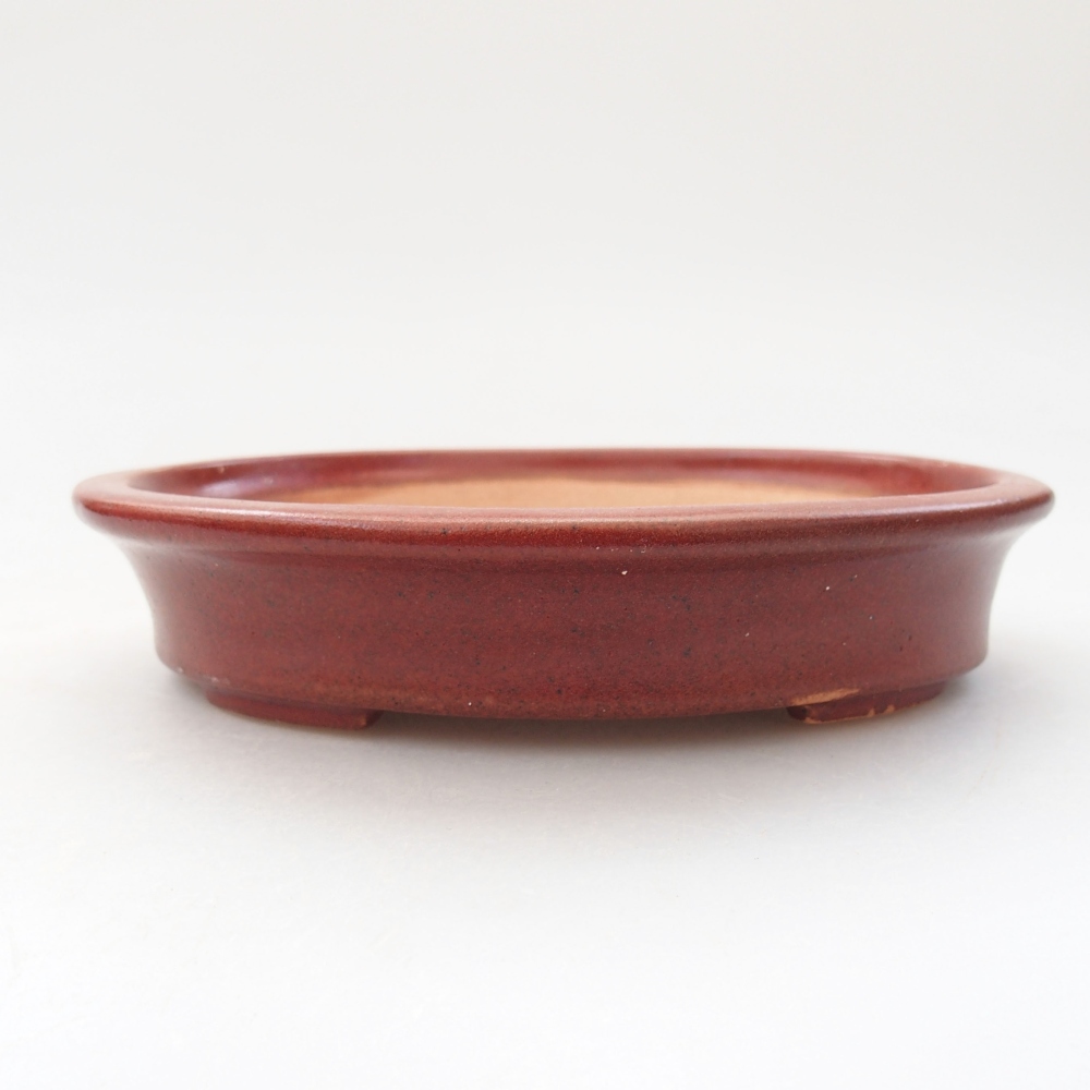Ciotola bonsai in ceramica 13 x 11 x 3 cm, bordeaux