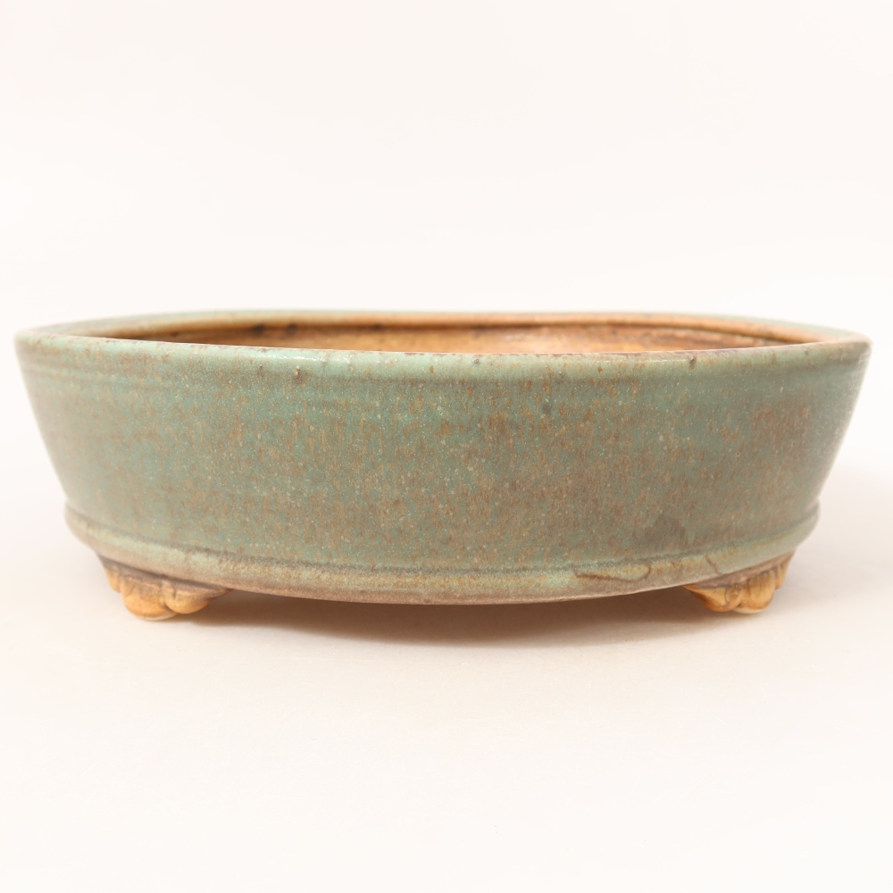Ciotola per bonsai in ceramica 21,5 x 21,5 x 6 cm, verde