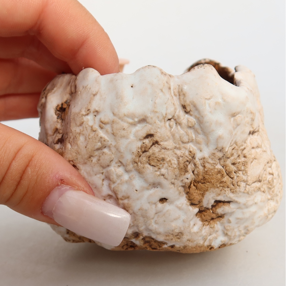 Guscio in ceramica  7 x 7 x 6 cm, colore bianco-marrone