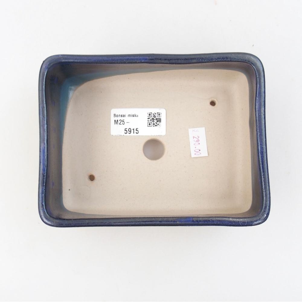 Ciotola bonsai in ceramica 22 x 17 x 5 cm, verde