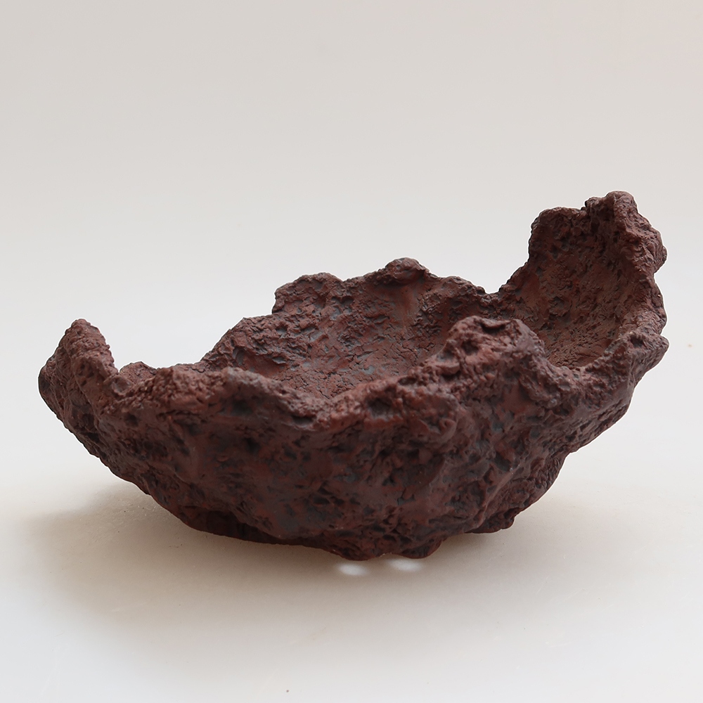 Conchiglia in ceramica 15 x 15 x 10,5 cm, colore marrone
