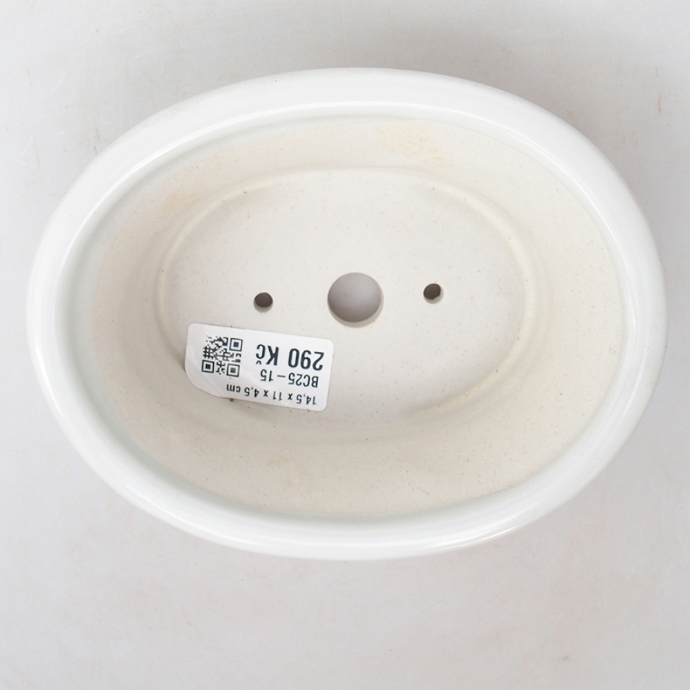 Ciotola per bonsai in ceramica 14,5 x 11 x 4,5 cm, colore bianco