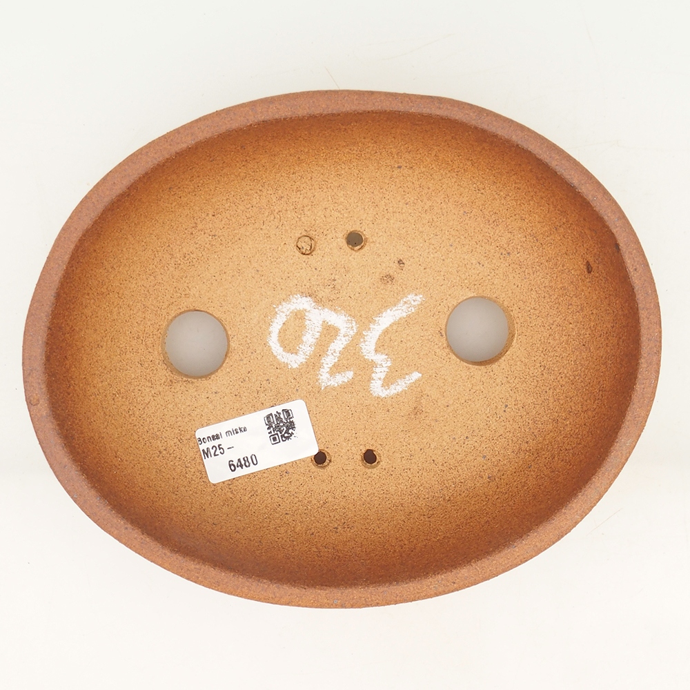 Ciotola per bonsai 20 x 16 x 6 cm , colore marrone