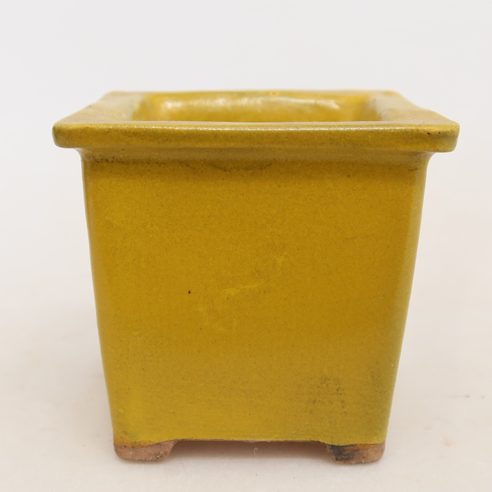 Vaso da bonsai in ceramica 6 x 6 x 5,5 cm, colore giallo