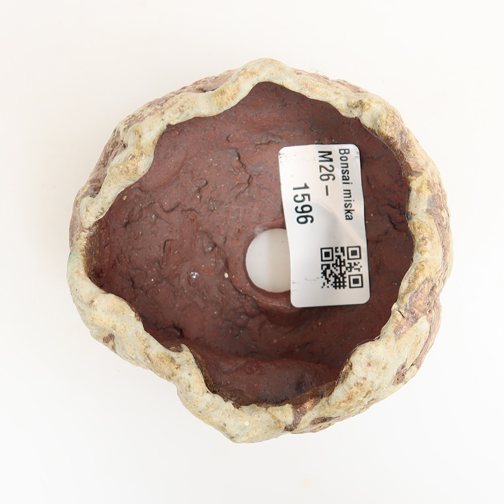 Guscio in ceramica  6,5 x 6,5 x 5,5 cm, colore verde