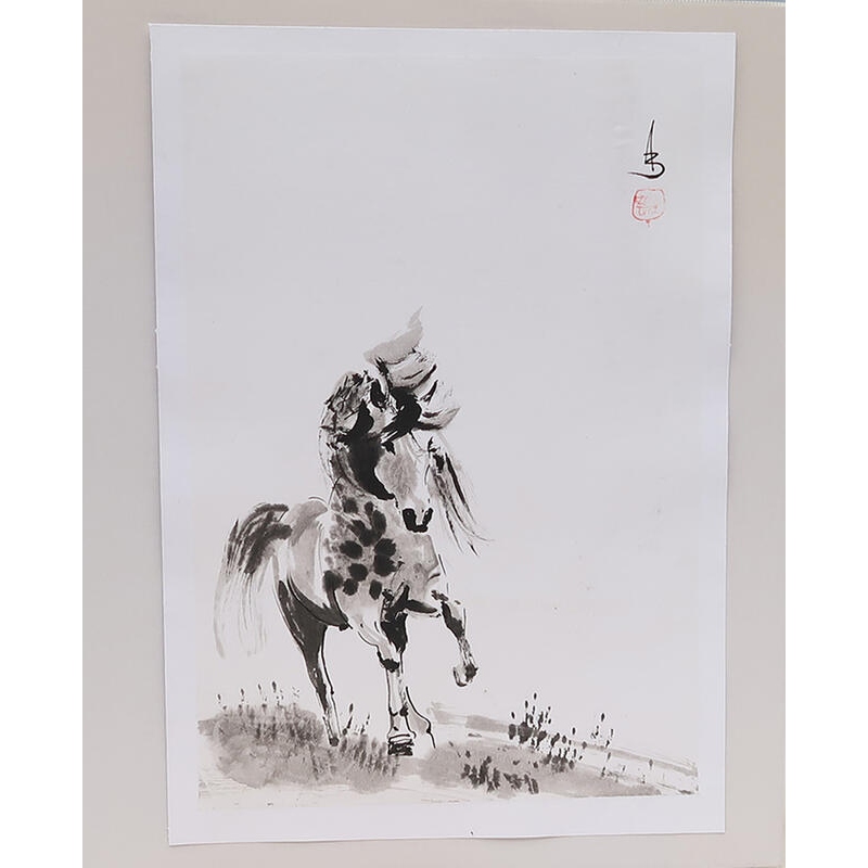 Calligrafia - Cavallo