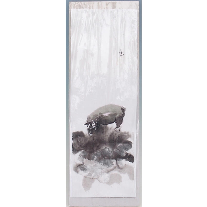 Calligrafia - Porcellino