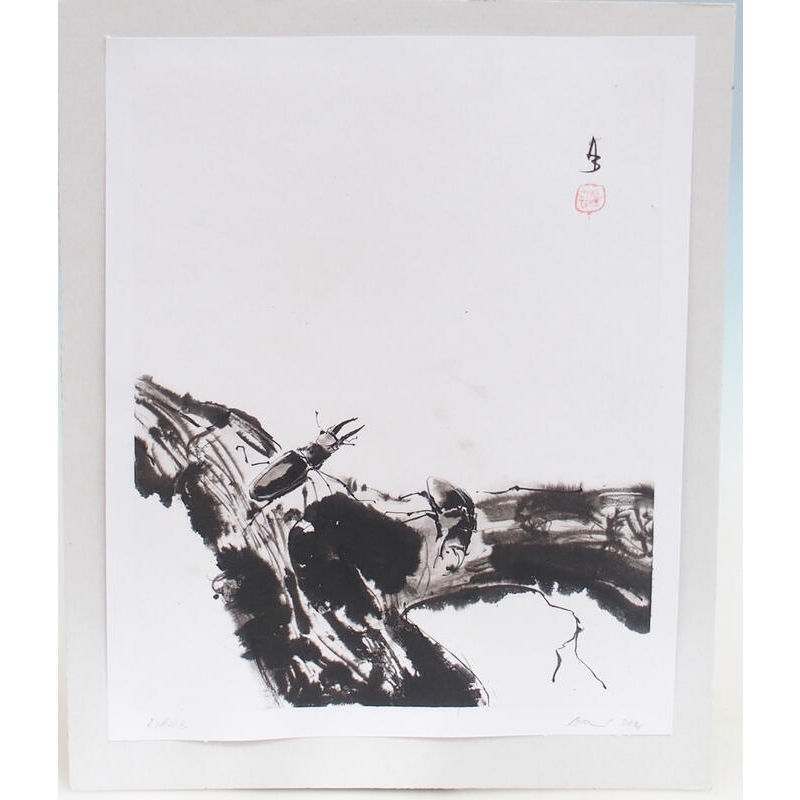 Calligrafia - Roháči