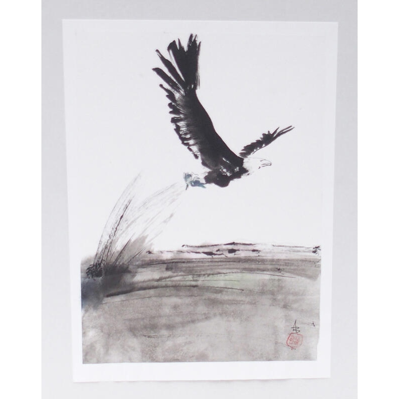 Calligrafia - Avvoltoio con preda