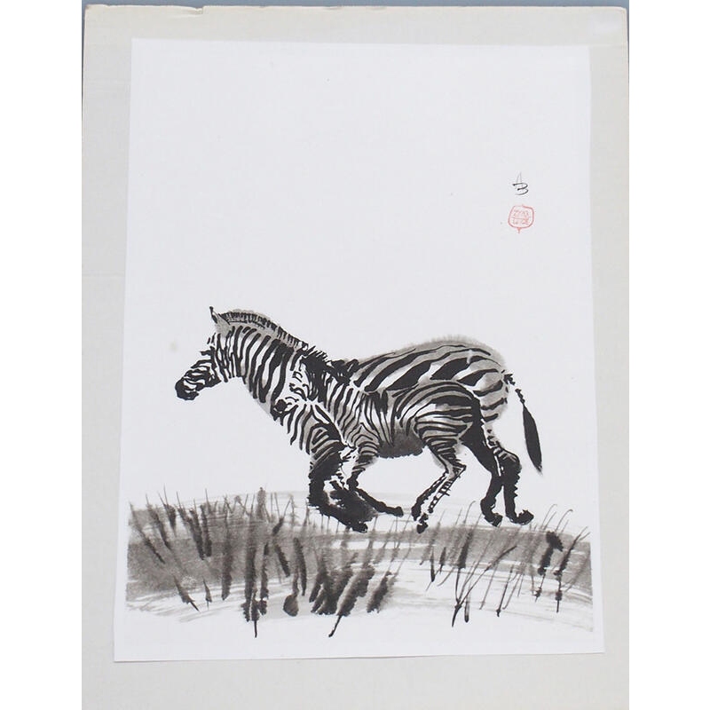 Calligrafia - Zebra