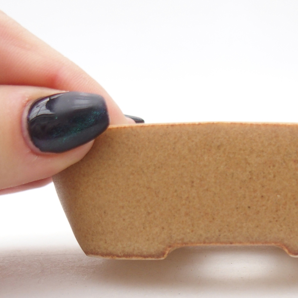 Mini bonsai 8,5 x 6 x 2,5 cm, marrone