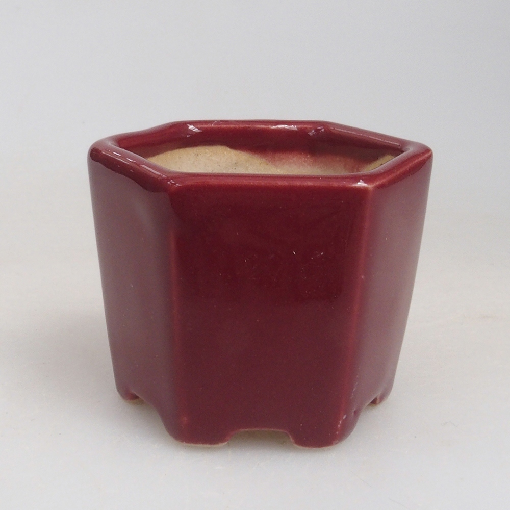 Mini bonsai 4 x 4 x 3,5 cm, bordeaux