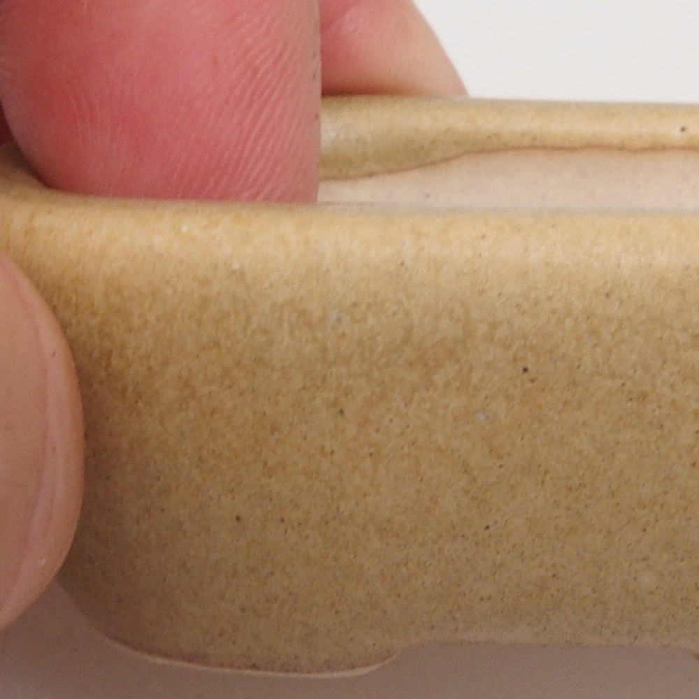 Ciotola per mini bonsai 5,5 x 4 x 2 cm, marrone