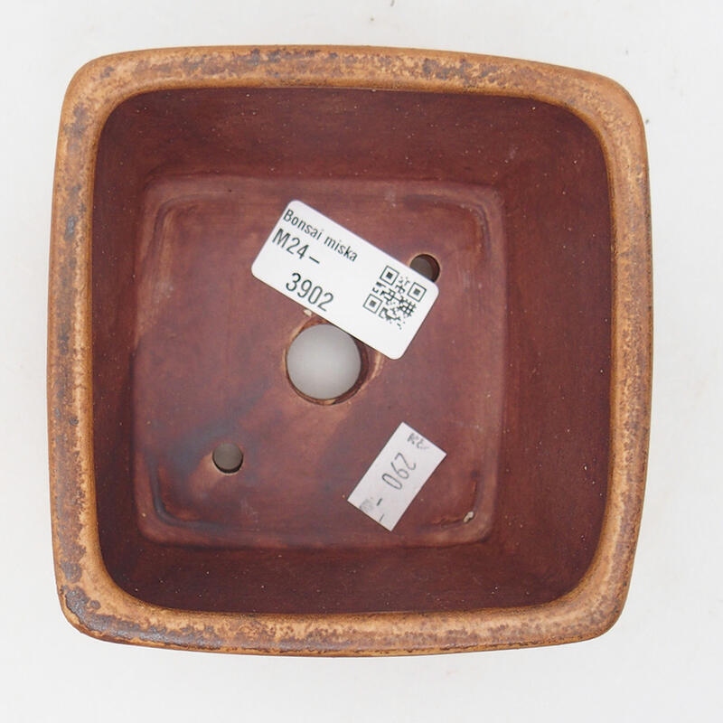 Ciotola bonsai in ceramica 10,5 x 10,5 x 6,5 cm, rosa