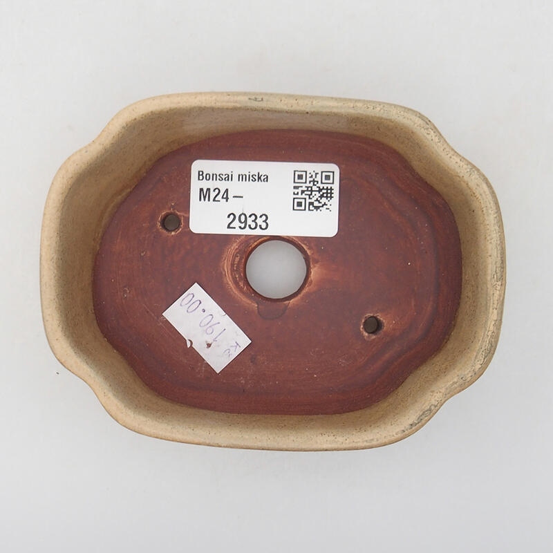 Ciotola per bonsai in ceramica 10,5 x 8 x 3,5 cm, colore beige