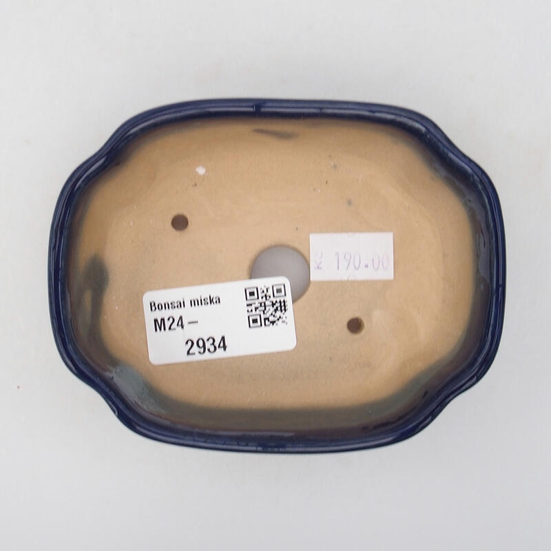 Ciotola per bonsai in ceramica 10,5 x 8 x 3,5 cm, colore blu