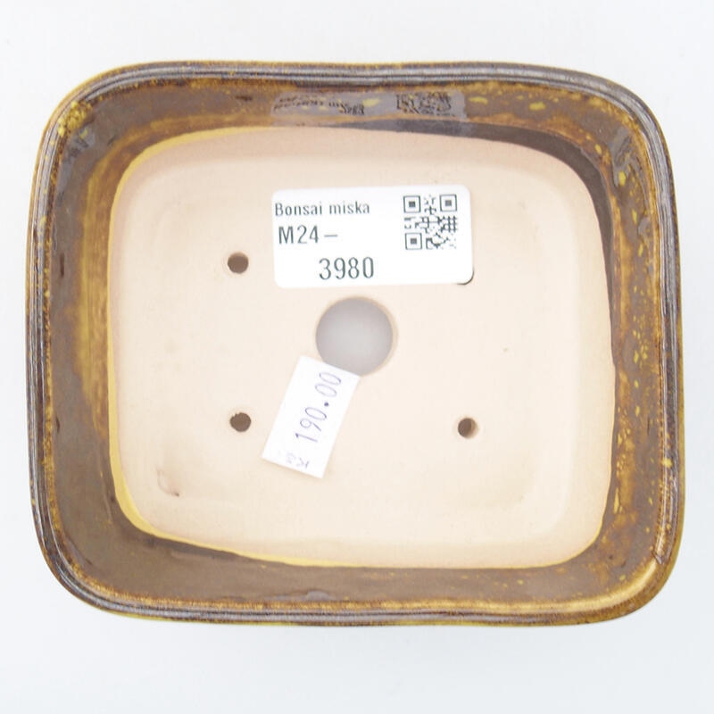 Ciotola bonsai in ceramica 10,5 x 9,5 x 4 cm, giallo