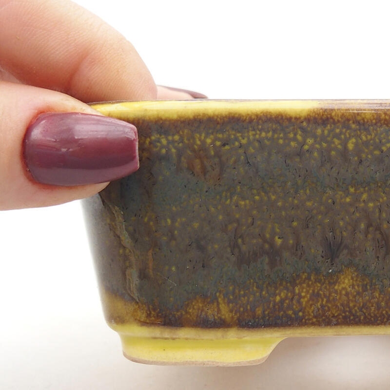 Ciotola bonsai in ceramica 10,5 x 9,5 x 4 cm, giallo