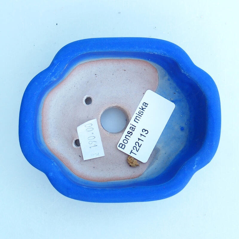 Ciotola bonsai in ceramica 10,5 x 9 x 3,5 cm, colore blu