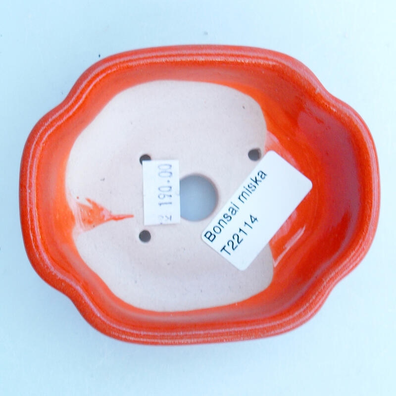 Ciotola per bonsai in ceramica 10,5 x 9 x 3,5 cm, arancione