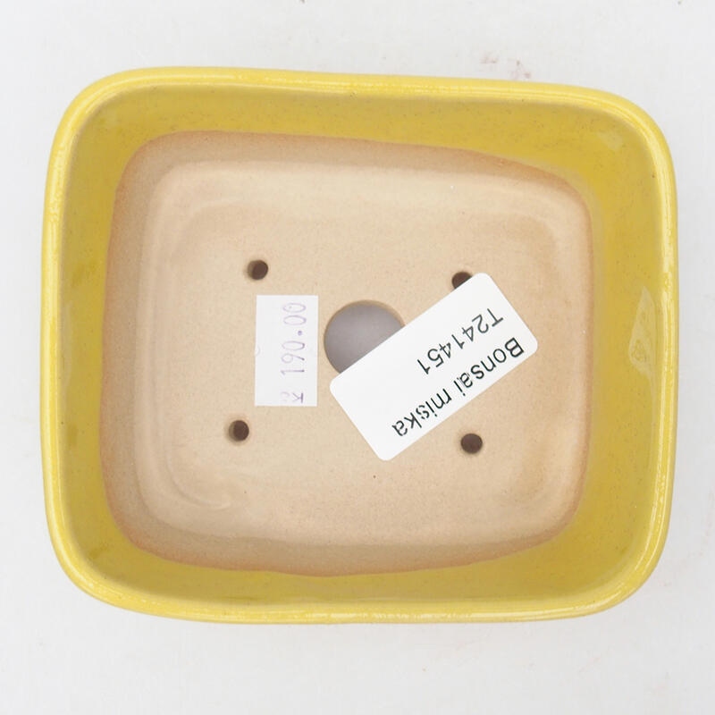 Ciotola per bonsai in ceramica 10,5 x 9 x 4 cm, giallo