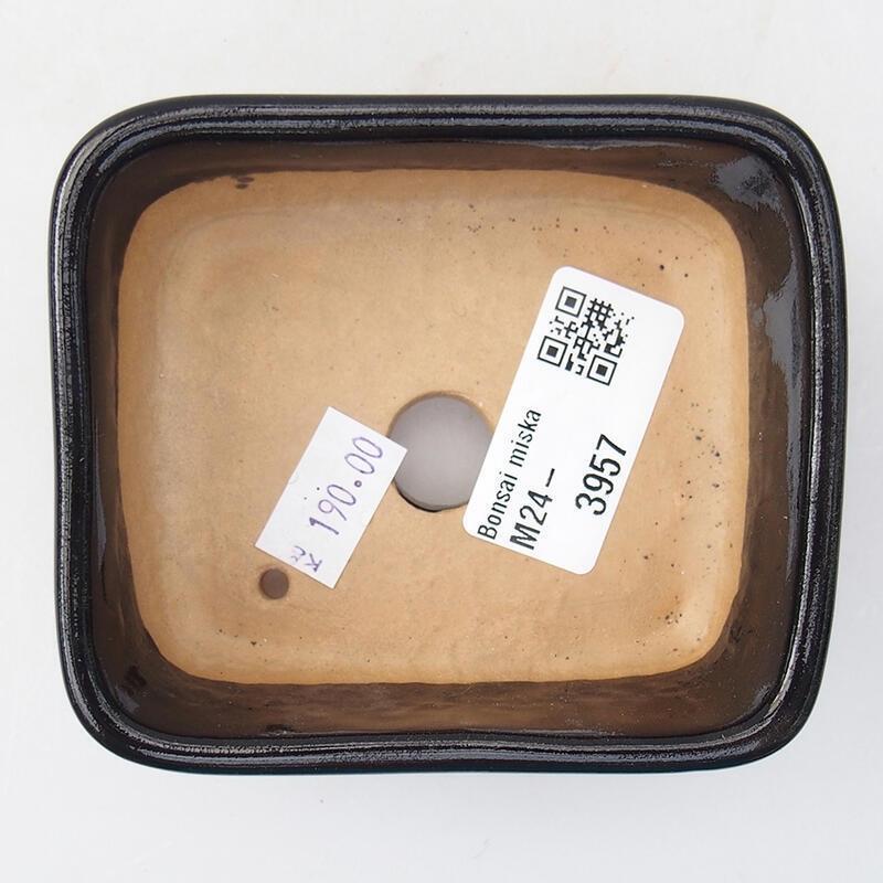 Ciotola per bonsai in ceramica 10 x 5,5 x 3,5 cm, nero