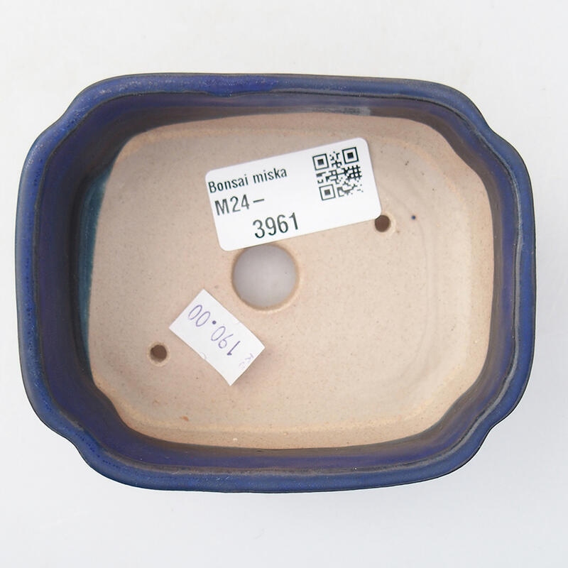 Ciotola per bonsai in ceramica 10 x 5,5 x 4 cm, colore blu