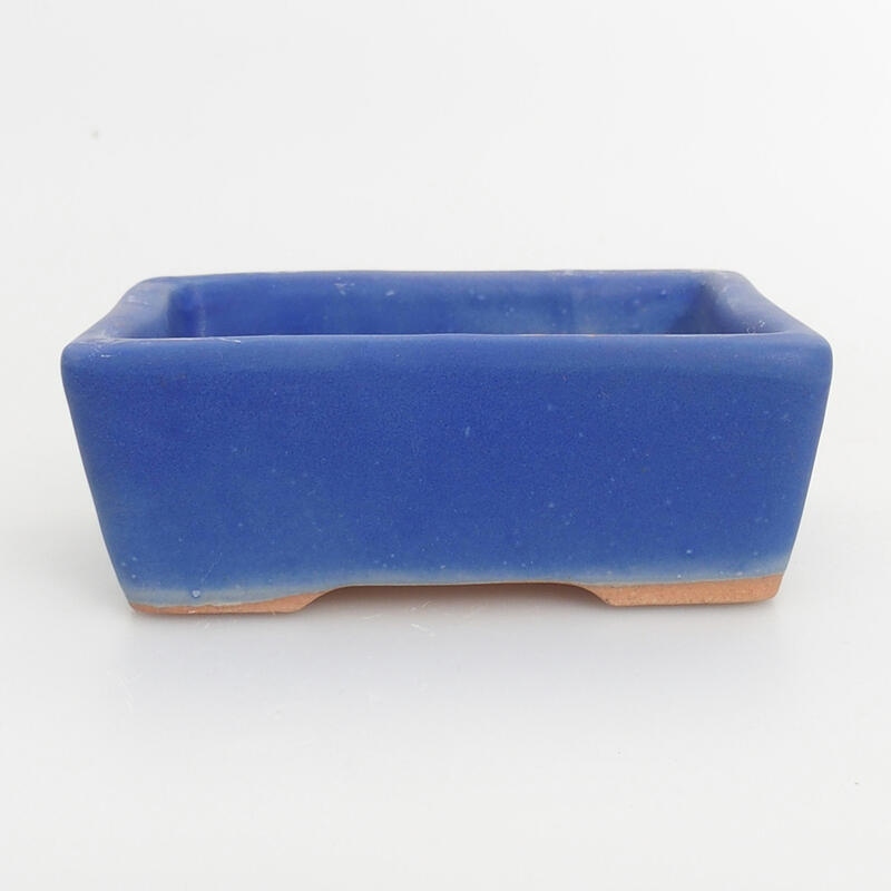 Ciotola per bonsai in ceramica 10 x 7,5 x 3,5 cm, colore blu