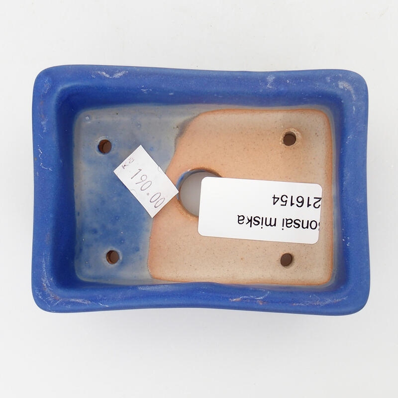 Ciotola per bonsai in ceramica 10 x 7,5 x 3,5 cm, colore blu