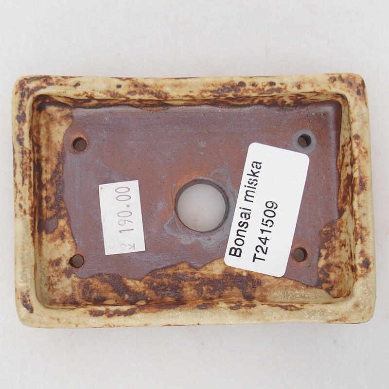 Ciotola per bonsai in ceramica 10 x 7 x 2 cm, colore beige