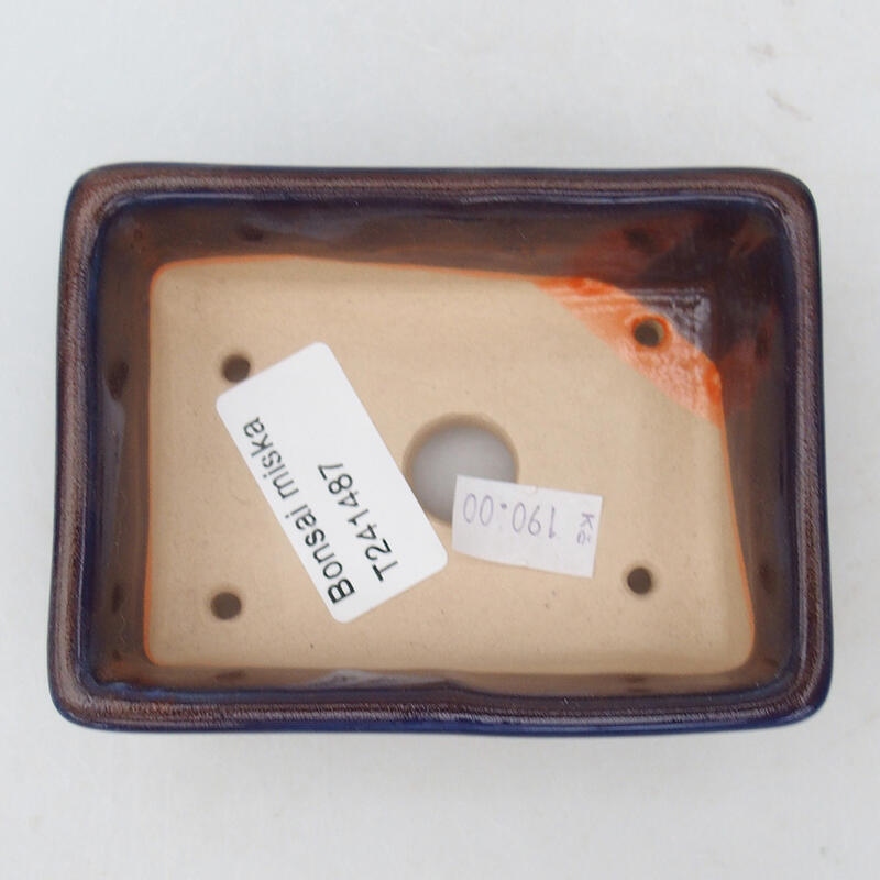 Ciotola per bonsai in ceramica 10 x 7 x 3,5 cm, colore viola